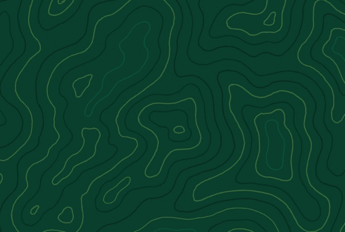 Topographic Map Lines