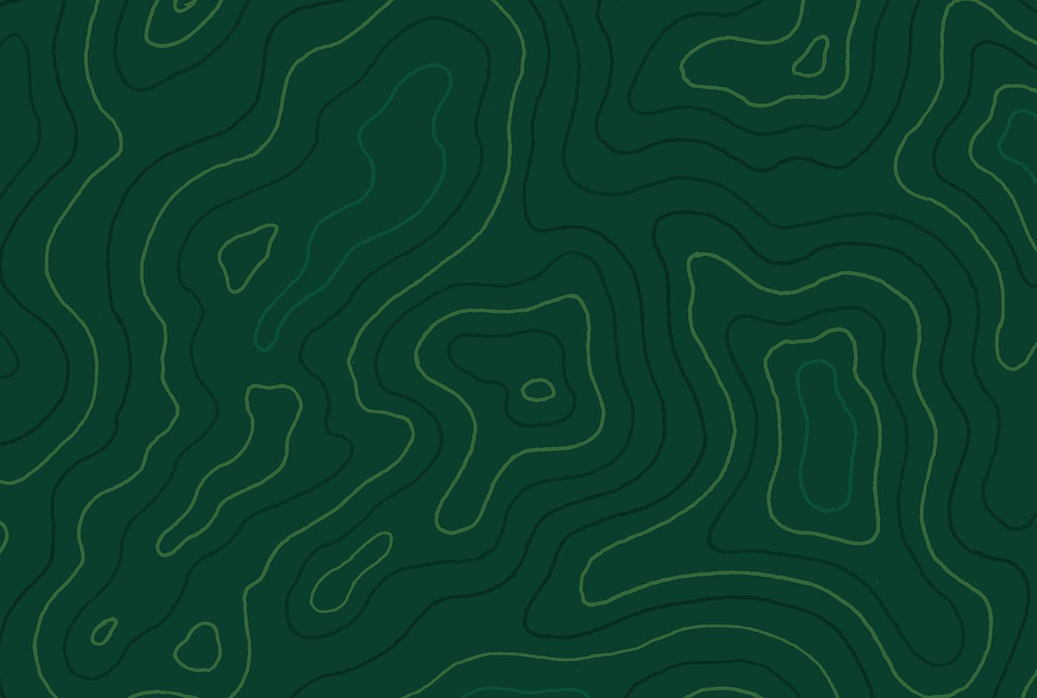 Topographic Map Lines